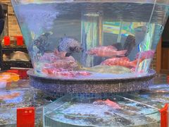 水产区-德胜轩正宗顺德菜(宝安沙井会展中心店)