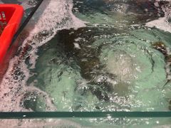 -阿伟海鲜楼·福建菜(延寿店)