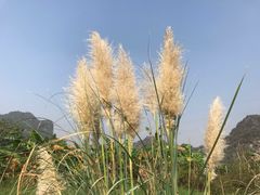 -伊岭岩风景区