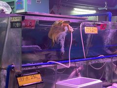 -东川新街市(东川市场店)