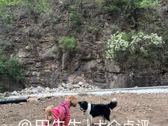 -湖洞水自然风景区