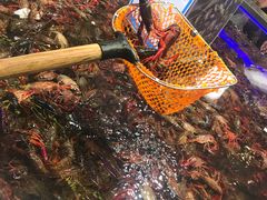 -盒马X会员店(王府井奥莱UP TOWN店)