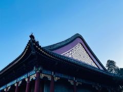 -颐和园