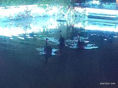 -春晖园度假酒店温泉