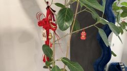 -处女座·MISS VIRGO·半永久纹眉野生眉