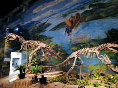 -自贡恐龙博物馆
