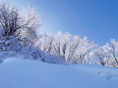 -亚布力新体委滑雪场