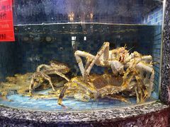 水产区-德胜轩正宗顺德菜(宝安沙井会展中心店)