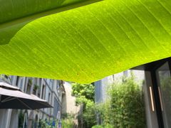 -徐家汇源景区-衡山坊