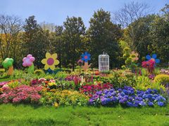 -上海共青森林公园