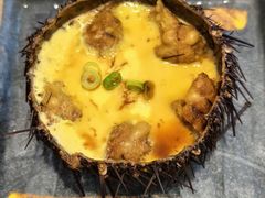 -海胆小馆(东北水饺·春柳店)