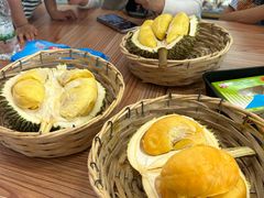 -都念榴莲·城市榴莲