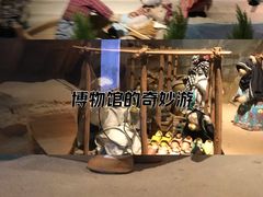 -成都泰迪熊博物馆