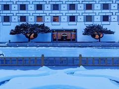 -香山公园