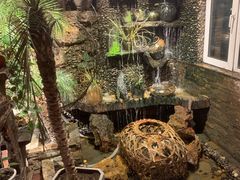 -大匠工房古船木艺术餐厅·猪肚鸡专门店(长白仙岛店)