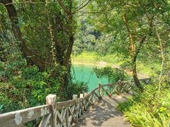 -广州市流溪河国家森林公园