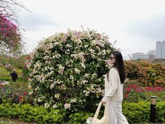 -东莞植物园
