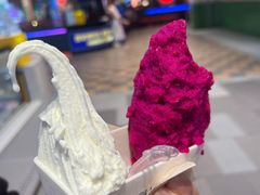 -野人先生现做冰淇淋(西安赛格店)