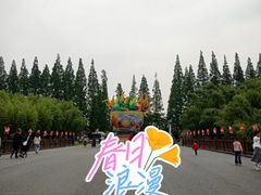 -黄海国家森林公园