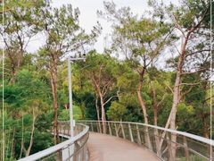-仙岳公园