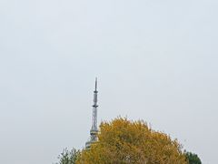 -诸城市恐龙博物馆