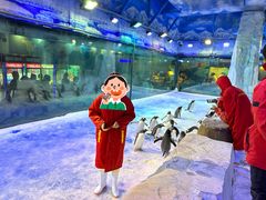 -芜湖新华联大白鲸海洋公园