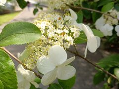 -九里河湿地公园