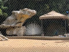 -南昌动物园