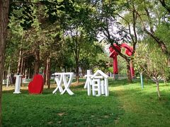 -双榆树公园
