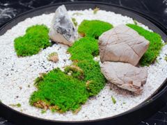 -同禧荟·港味海鲜火锅·粤菜(三亚湾店)