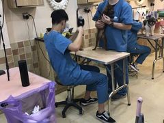 -安安宠医宠物医院·异宠·犬猫内科(岳阳分院)