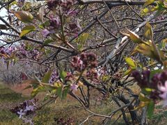 -李先生牛肉面(长春红旗街店)