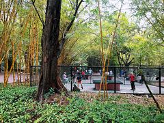 -晓港公园