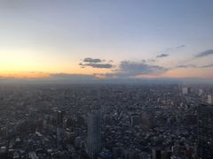 -东京都厅舍