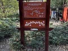 -武夷山风景名胜区-虎啸岩
