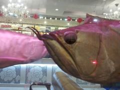 -聚鑫阁江浙菜·非遗传承技艺(闵行交大店)