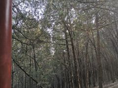 -青州市云门山风景区