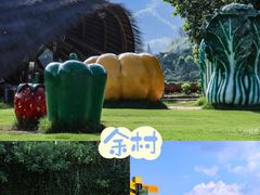 -阿露佳·舌尖上的安吉菜