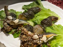 小青龙-吉友粥底火锅(方斜路店)