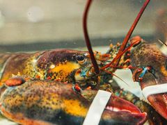 -巽寮印象美食部落餐厅·海鲜·地方特色菜(惠州体验店)