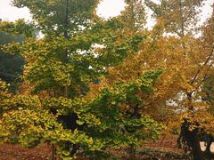 -金堂县云顶石城风景区
