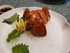 -蟹榭·本帮江浙菜·蟹宴(五角场合生汇商场店)