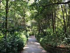 -雁南飞茶田景区
