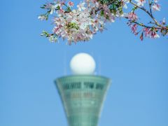 -狐尾山公园