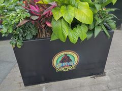 -老外街