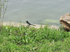 -丁香湖公园