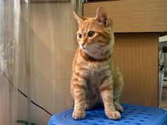 -福合埕牛口福·牛肉火锅·牛肉丸