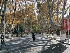 -东南大学(四牌楼校区)