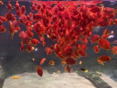 -常州海昌海洋探索馆