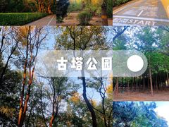 -古塔公园